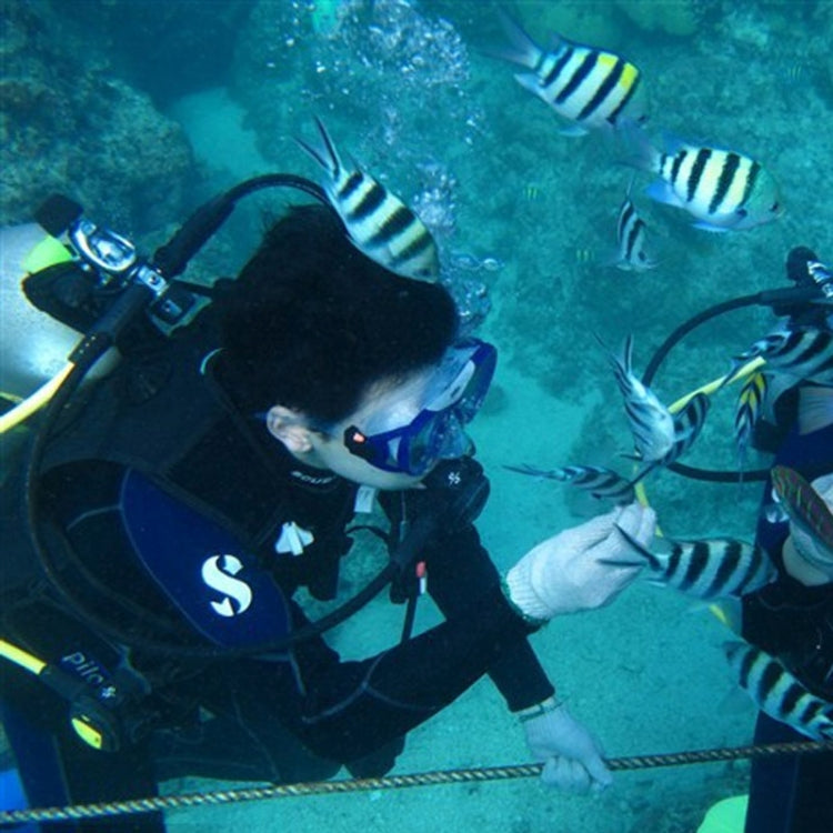 Equipo de buceo para deportes acuáticos Máscara de buceo Gafas de natación para GoPro Hero12 Black / Hero11 /10/9/8/7/6/5, I…