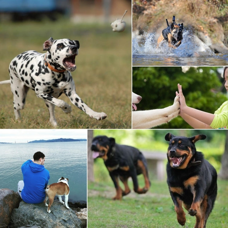 Correa de pecho PULUZ Hound Dog Fetch Arnés ajustable para para GoPro Hero12 Black / Hero11 /10/9/8/7/6/5, Insta360 Ace / Ac…