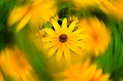 Filtro UV / Filtro de lente — imagen 11