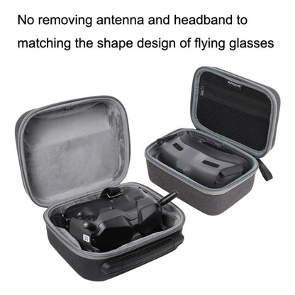 Bolsa de almacenamiento de mano Para gafas voladoras FPV V2, Sunnylife para DJI Avata — imagen 5